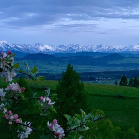 Koza U Woza Wypocznij W Gorach W Rytmie Slow Drewniany Dom Premium Z Widokiem Na Panorame Tatr Ecospa Strefa Fitness Zielona Farma Warsztaty (Adults Only) Szlembark Bagian luar foto