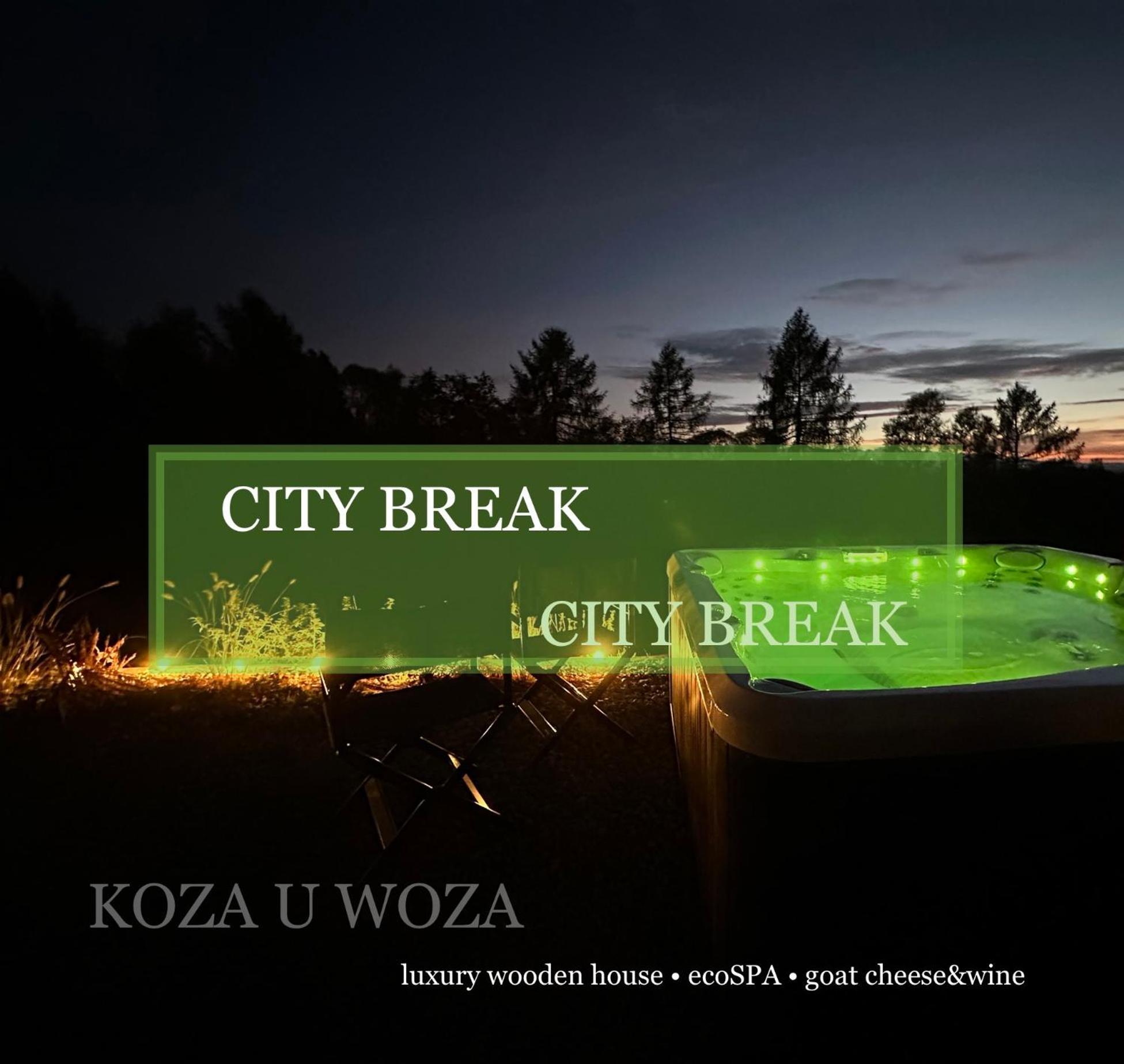 Koza U Woza Wypocznij W Gorach W Rytmie Slow Drewniany Dom Premium Z Widokiem Na Panorame Tatr Ecospa Strefa Fitness Zielona Farma Warsztaty (Adults Only) Szlembark Bagian luar foto