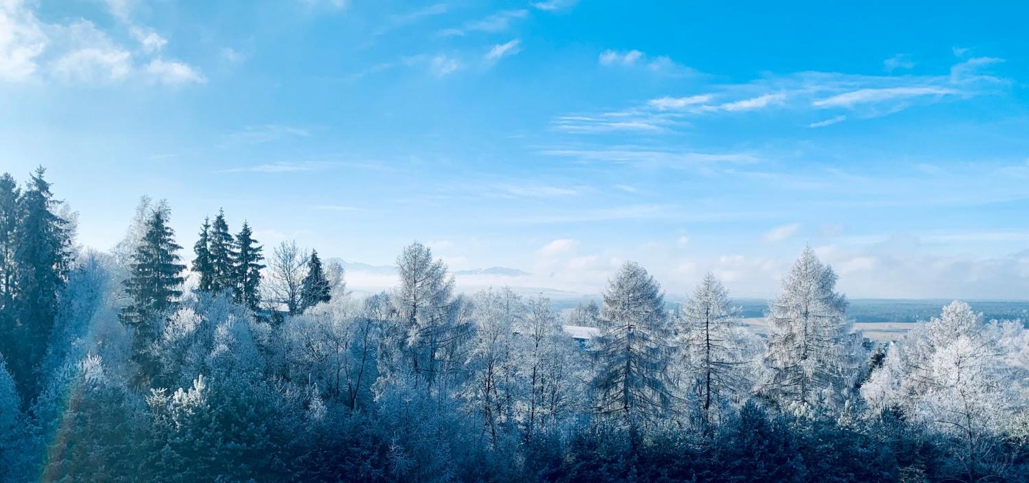 Koza U Woza Wypocznij W Gorach W Rytmie Slow Drewniany Dom Premium Z Widokiem Na Panorame Tatr Ecospa Strefa Fitness Zielona Farma Warsztaty (Adults Only) Szlembark Bagian luar foto
