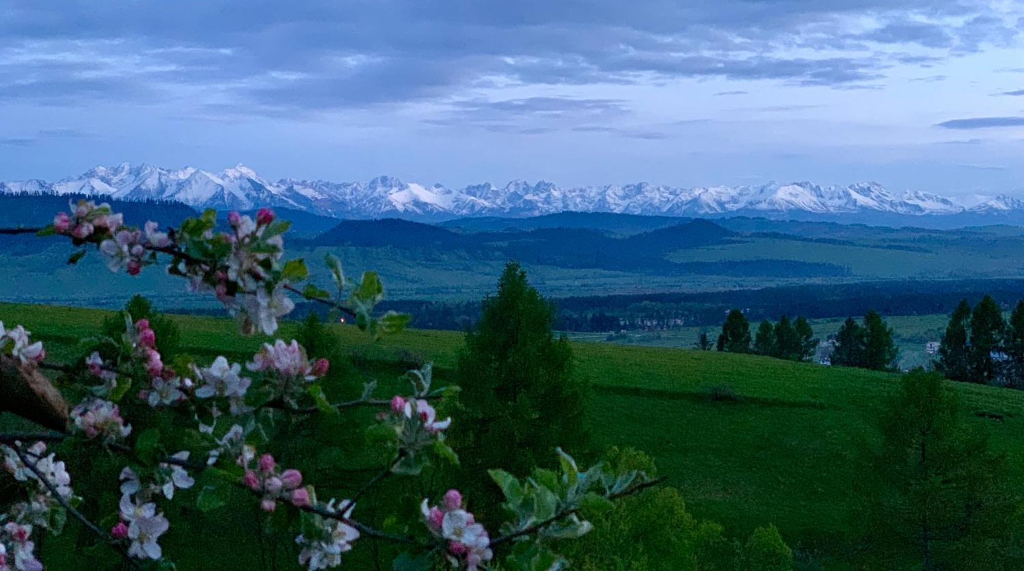 Koza U Woza Wypocznij W Gorach W Rytmie Slow Drewniany Dom Premium Z Widokiem Na Panorame Tatr Ecospa Strefa Fitness Zielona Farma Warsztaty (Adults Only) Szlembark Bagian luar foto